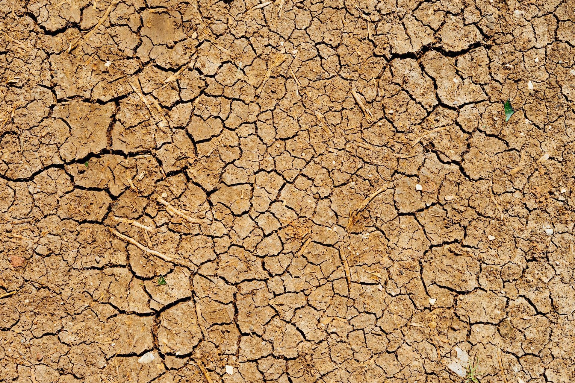 Thirst is among the first signs you don't drink enough water (Image via Unsplash/Dan Gold)